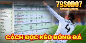 Cach Doc Keo Bong Da Meo Hay Chinh Phuc Keo Nha Cai