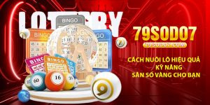 Cach Nuoi Lo Hieu Qua – Ky Nang San So Vang Cho Ban