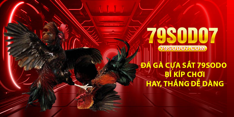Da Ga Cua Sat 79Sodo – Bi Kip Choi Hay Thang De Dang