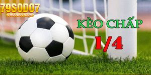 Keo Chap 1 4 La Gi Meo Bat Keo Dong Banh Nua Trai