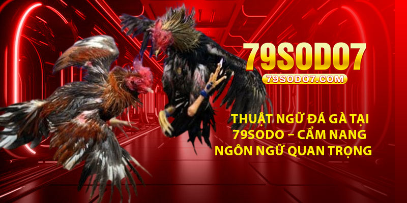 Thuat ngu da ga tai 79Sodo – Cam nang ngon ngu quan trong
